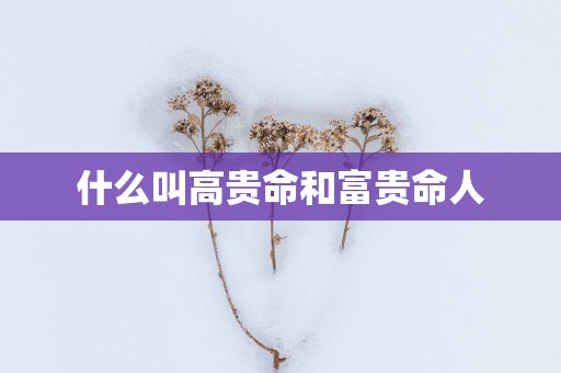 什么叫高贵命和富贵命人