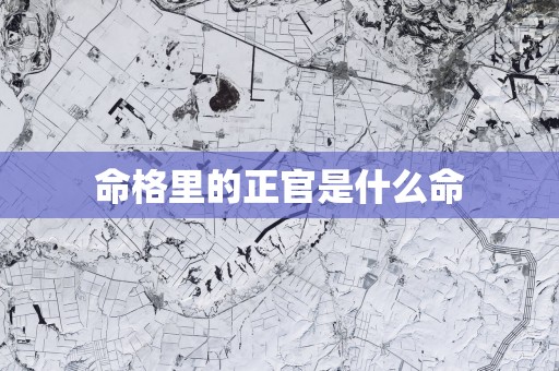 命格里的正官是什么命