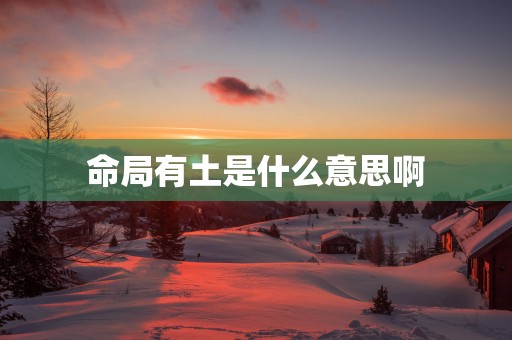 命局有土是什么意思啊