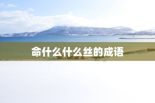 命什么什么丝的成语