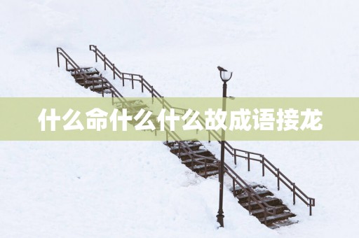 什么命什么什么故成语接龙