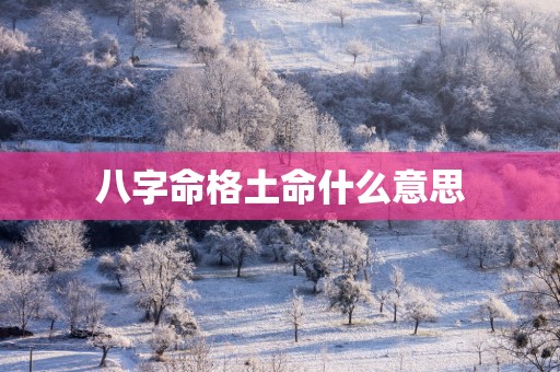 八字命格土命什么意思