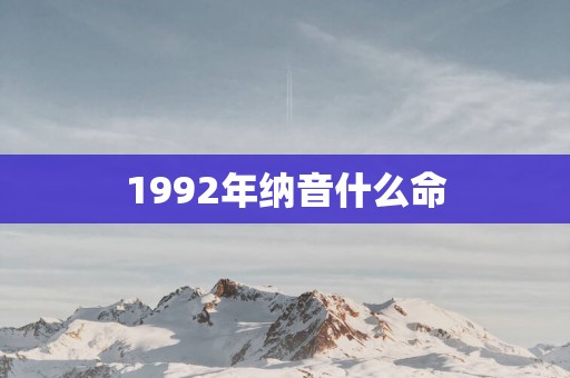 1992年纳音什么命