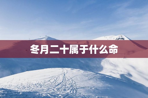 冬月二十属于什么命