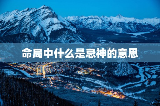 命局中什么是忌神的意思