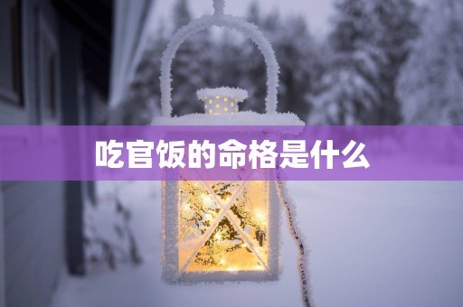 吃官饭的命格是什么