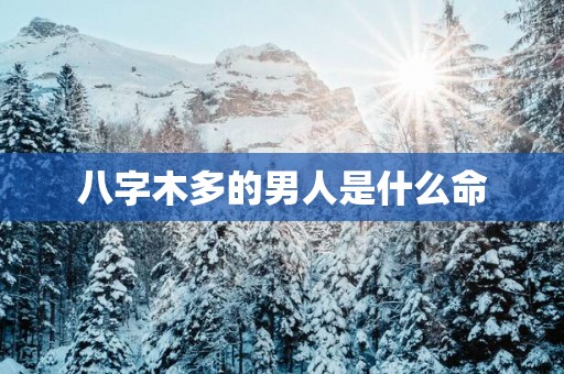 八字木多的男人是什么命