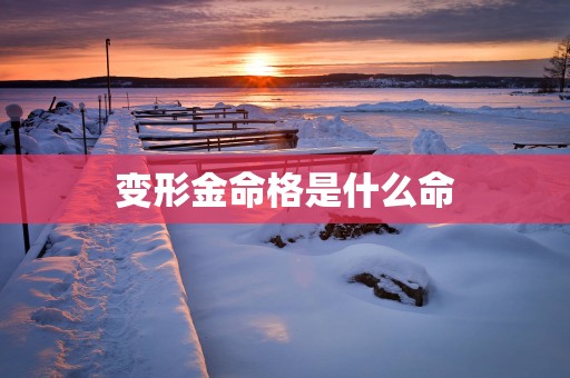 变形金命格是什么命