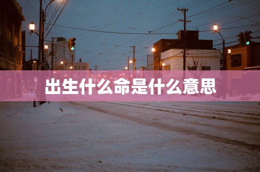 出生什么命是什么意思