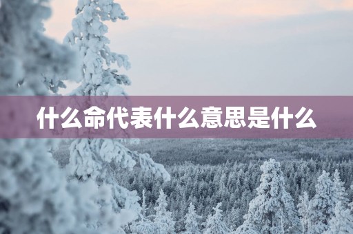 什么命代表什么意思是什么