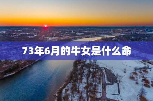 73年6月的牛女是什么命
