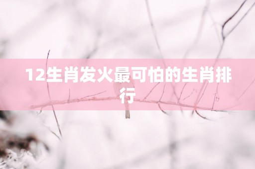 12生肖发火最可怕的生肖排行