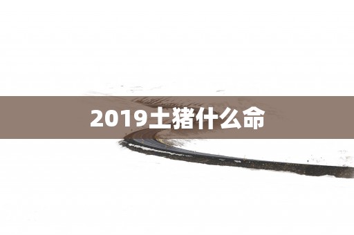 2019土猪什么命