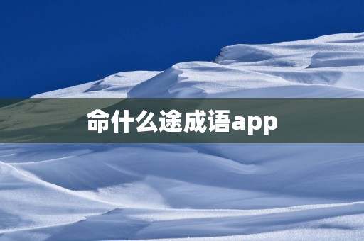 命什么途成语app