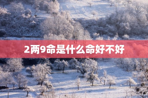 2两9命是什么命好不好