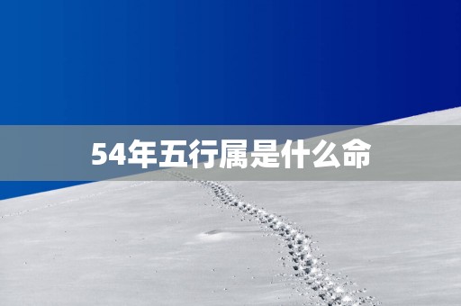 54年五行属是什么命