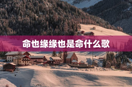 命也缘缘也是命什么歌