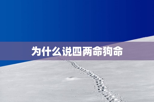 为什么说四两命狗命