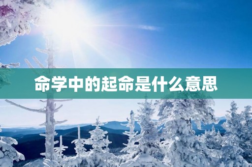 命学中的起命是什么意思
