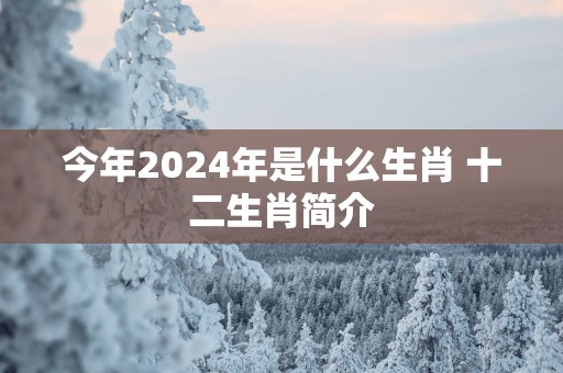 今年2025年是什么生肖 十二生肖简介