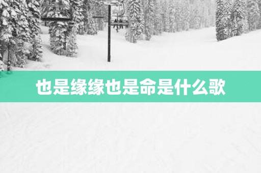 也是缘缘也是命是什么歌