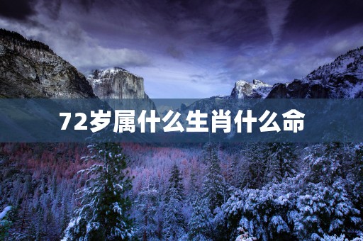 72岁属什么生肖什么命