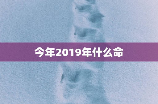 今年2019年什么命