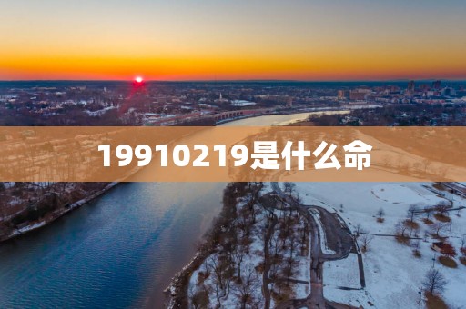 19910219是什么命