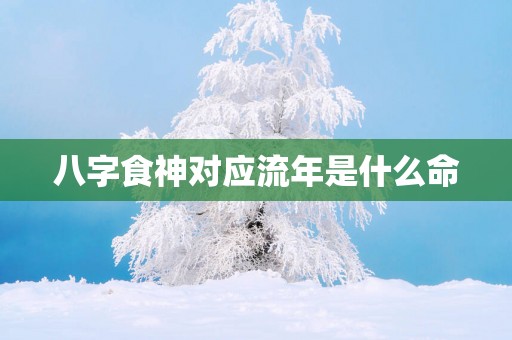 八字食神对应流年是什么命