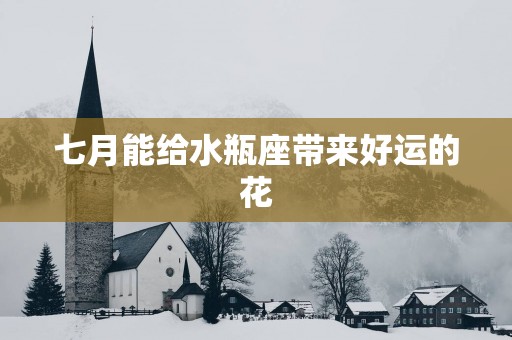 七月能给水瓶座带来好运的花