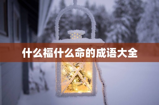 什么福什么命的成语大全