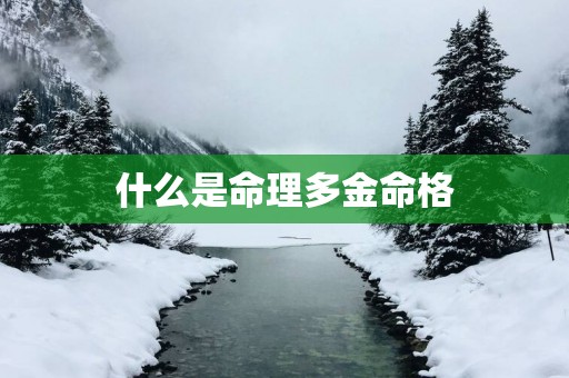 什么是命理多金命格