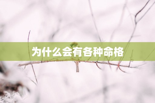为什么会有各种命格