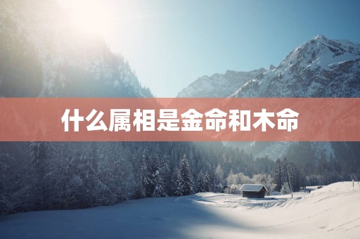 什么属相是金命和木命