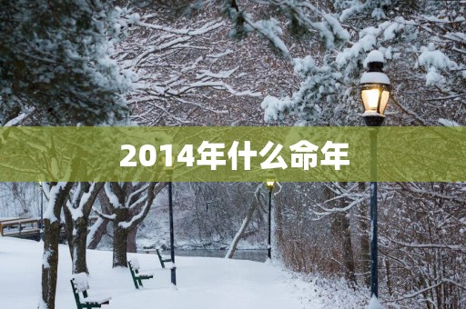 2014年什么命年