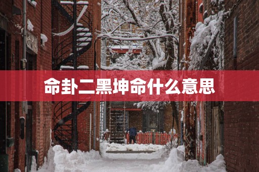 命卦二黑坤命什么意思