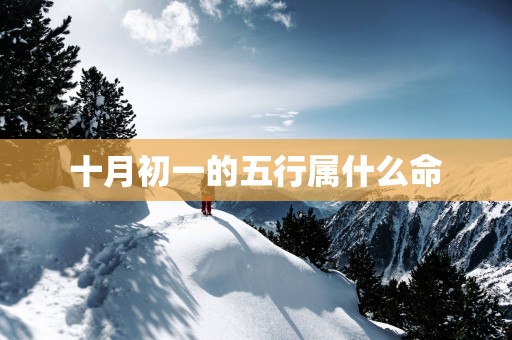 十月初一的五行属什么命