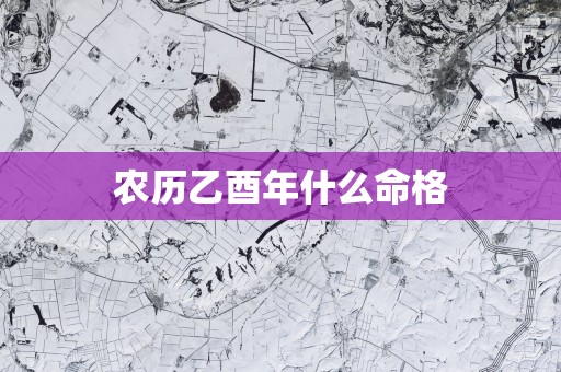 农历乙酉年什么命格