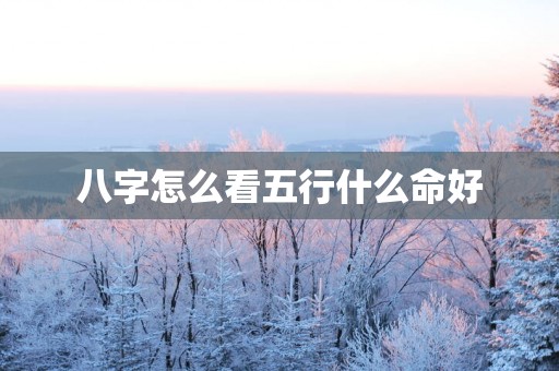 八字怎么看五行什么命好