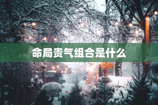 命局贵气组合是什么