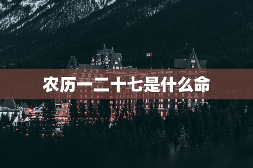 农历一二十七是什么命