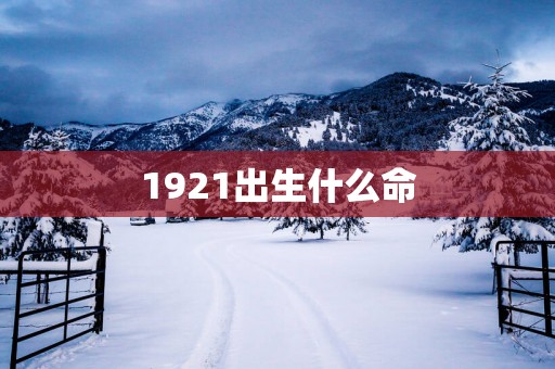1921出生什么命