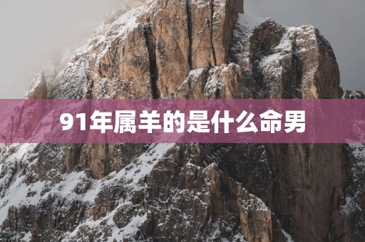 91年属羊的是什么命男