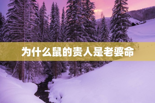 为什么鼠的贵人是老婆命