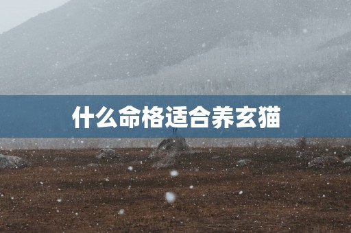 什么命格适合养玄猫
