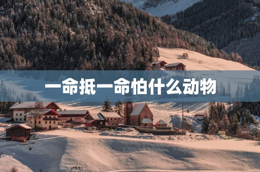 一命抵一命怕什么动物