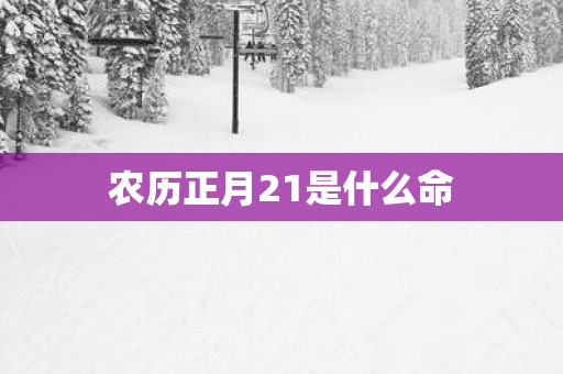 农历正月21是什么命