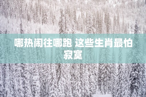 哪热闹往哪跑 这些生肖最怕寂寞