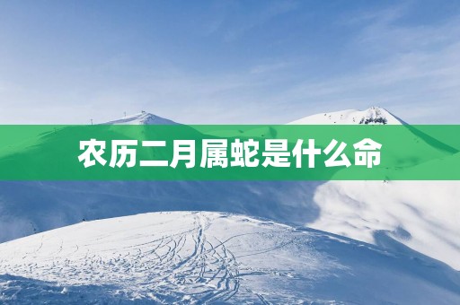 农历二月属蛇是什么命