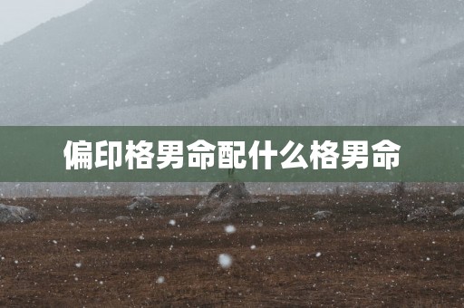 偏印格男命配什么格男命